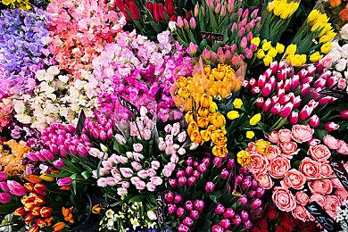 《三角符文》将在PS和Switch主机上支持跨世代购买